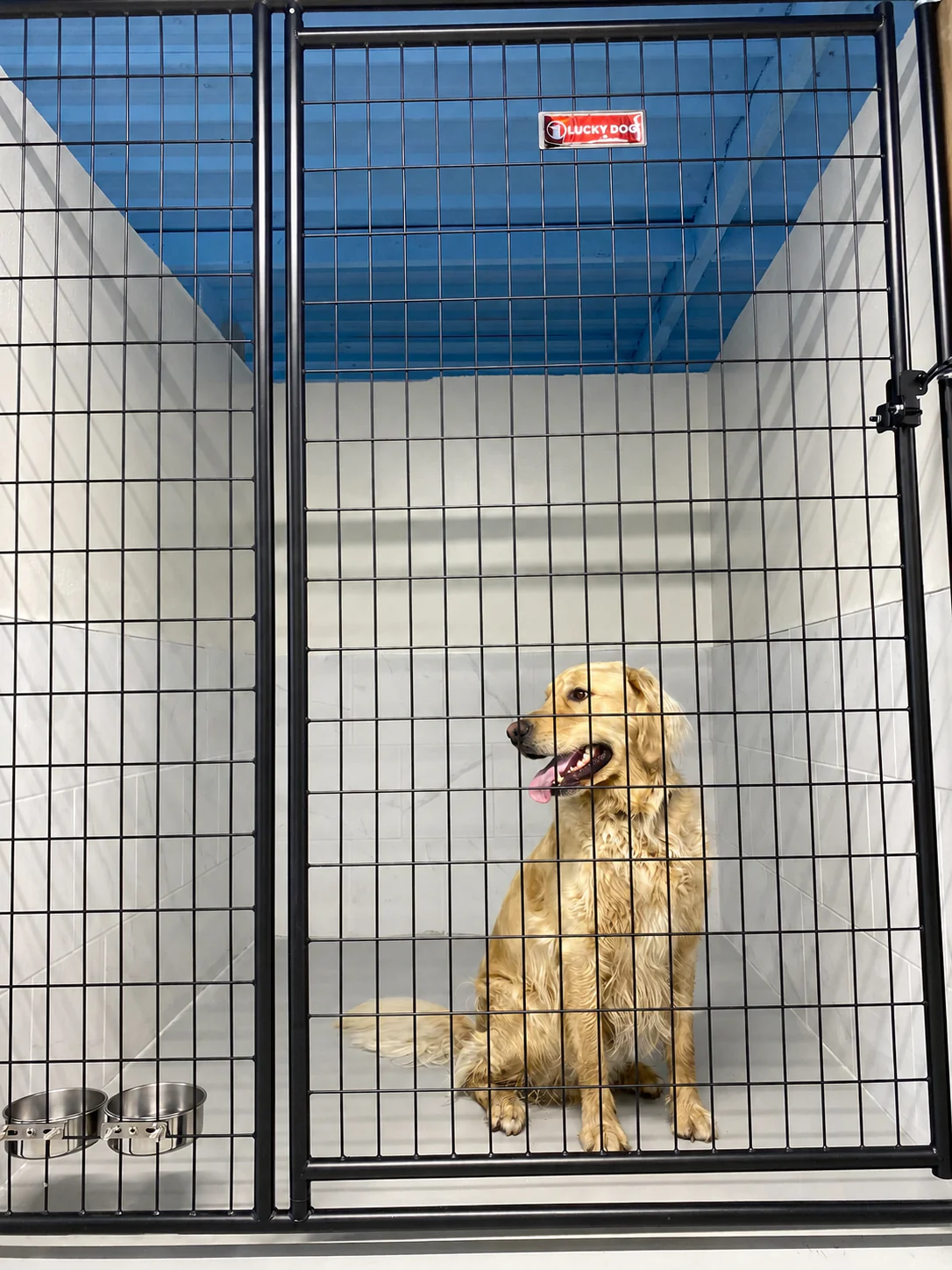 Hébergements de luxe et espace intérieur des installations FabPaws.